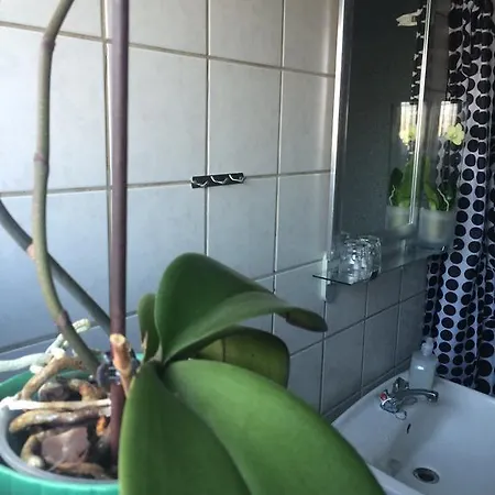 Hotel Ribe Inn Ribe