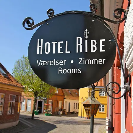 Kro Hotel Ribe 3*