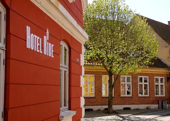Mini-hôtel Hotel Ribe 3*